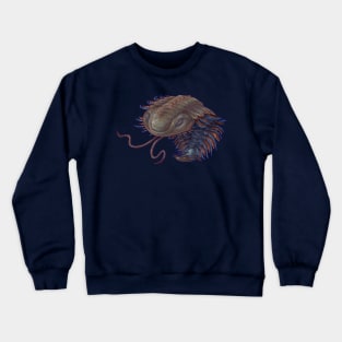 Triarthus eatoni (trilobite) Crewneck Sweatshirt